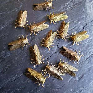 Cicada Brooch