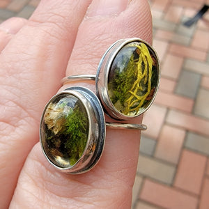 Woodland Lichen & Moss Terrarium Collection in Sterling Silver