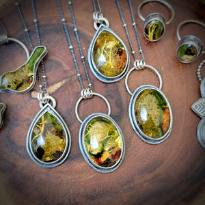 Woodland Lichen & Moss Terrarium Collection in Sterling Silver