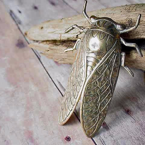 Cicada Brooch - Verdilune